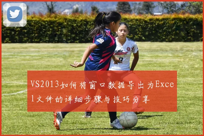 VS2013如何将窗口数据导出为Excel文件的详细步骤与技巧分享