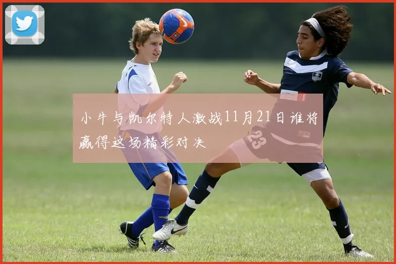 小牛与凯尔特人激战11月21日谁将赢得这场精彩对决
