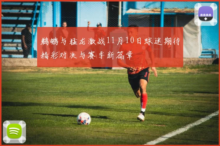 鹈鹕与猛龙激战11月10日球迷期待精彩对决与赛季新篇章