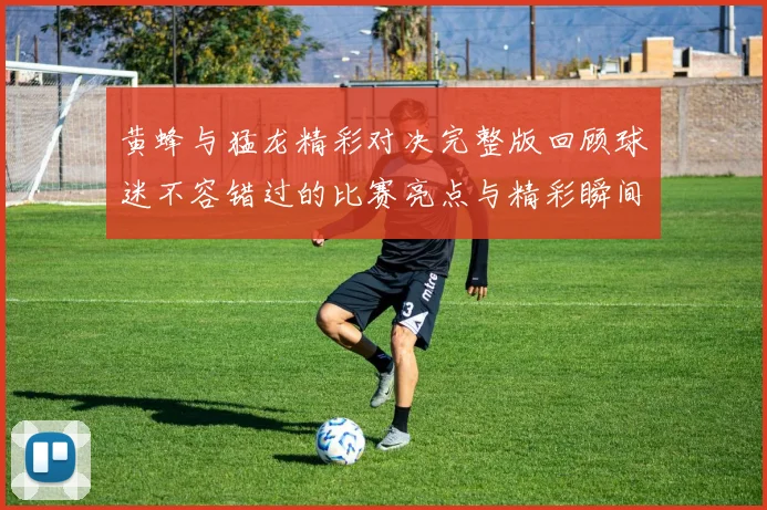 黄蜂与猛龙精彩对决完整版回顾球迷不容错过的比赛亮点与精彩瞬间