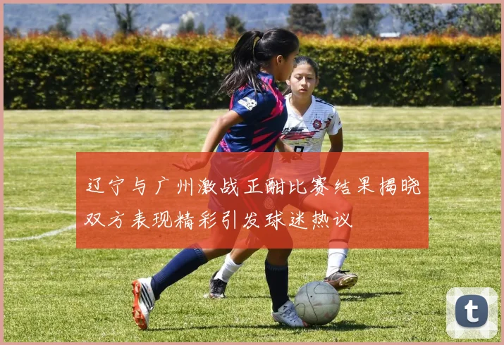 辽宁与广州激战正酣比赛结果揭晓双方表现精彩引发球迷热议