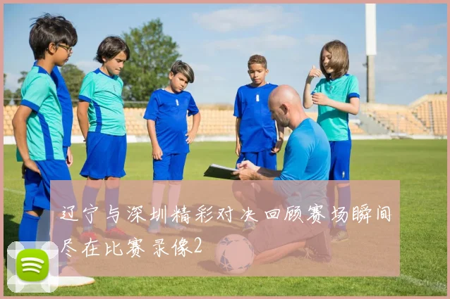 辽宁与深圳精彩对决回顾赛场瞬间尽在比赛录像2
