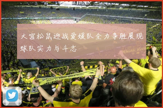 大宫松鼠迎战爱媛队全力争胜展现球队实力与斗志