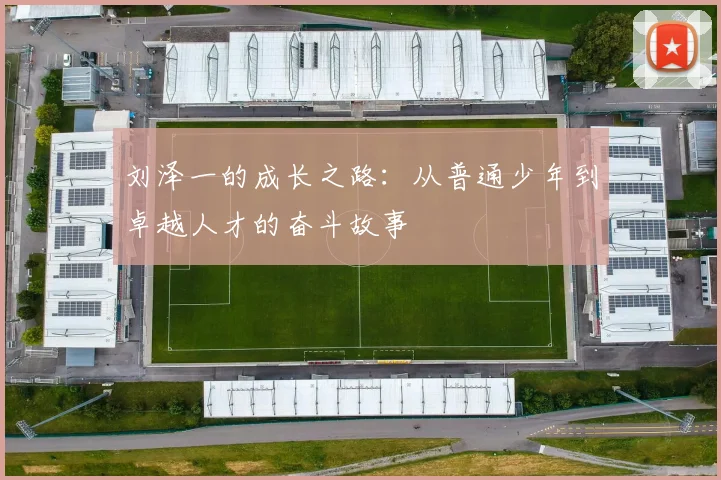 刘泽一的成长之路：从普通少年到卓越人才的奋斗故事