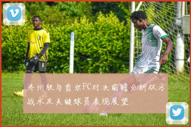 济州联与首尔FC对决前瞻分析双方战术及关键球员表现展望