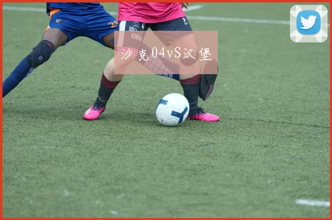 沙克04vS汉堡