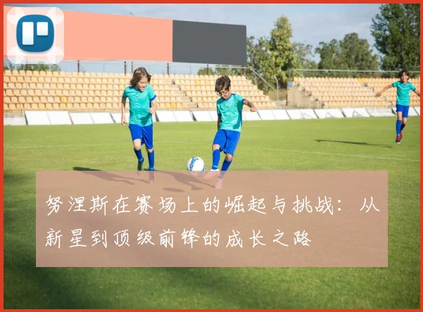 努涅斯在赛场上的崛起与挑战：从新星到顶级前锋的成长之路