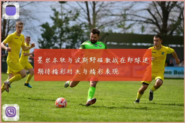 墨尔本联与波斯野猫激战在即球迷期待精彩对决与精彩表现