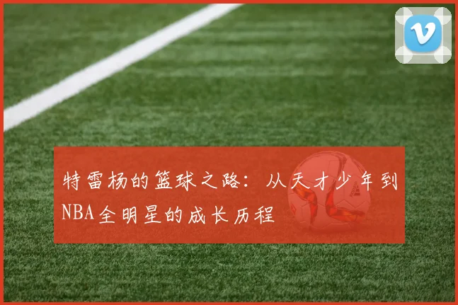 特雷杨的篮球之路：从天才少年到NBA全明星的成长历程