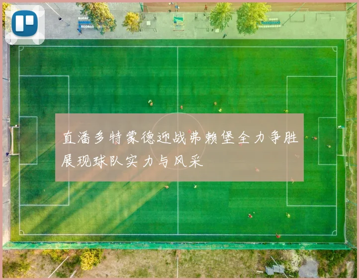 直潘多特蒙德迎战弗赖堡全力争胜展现球队实力与风采
